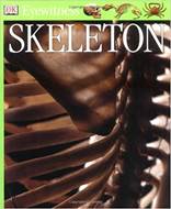 Skeleton