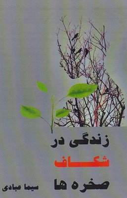 زندگی در شکاف صخره ها